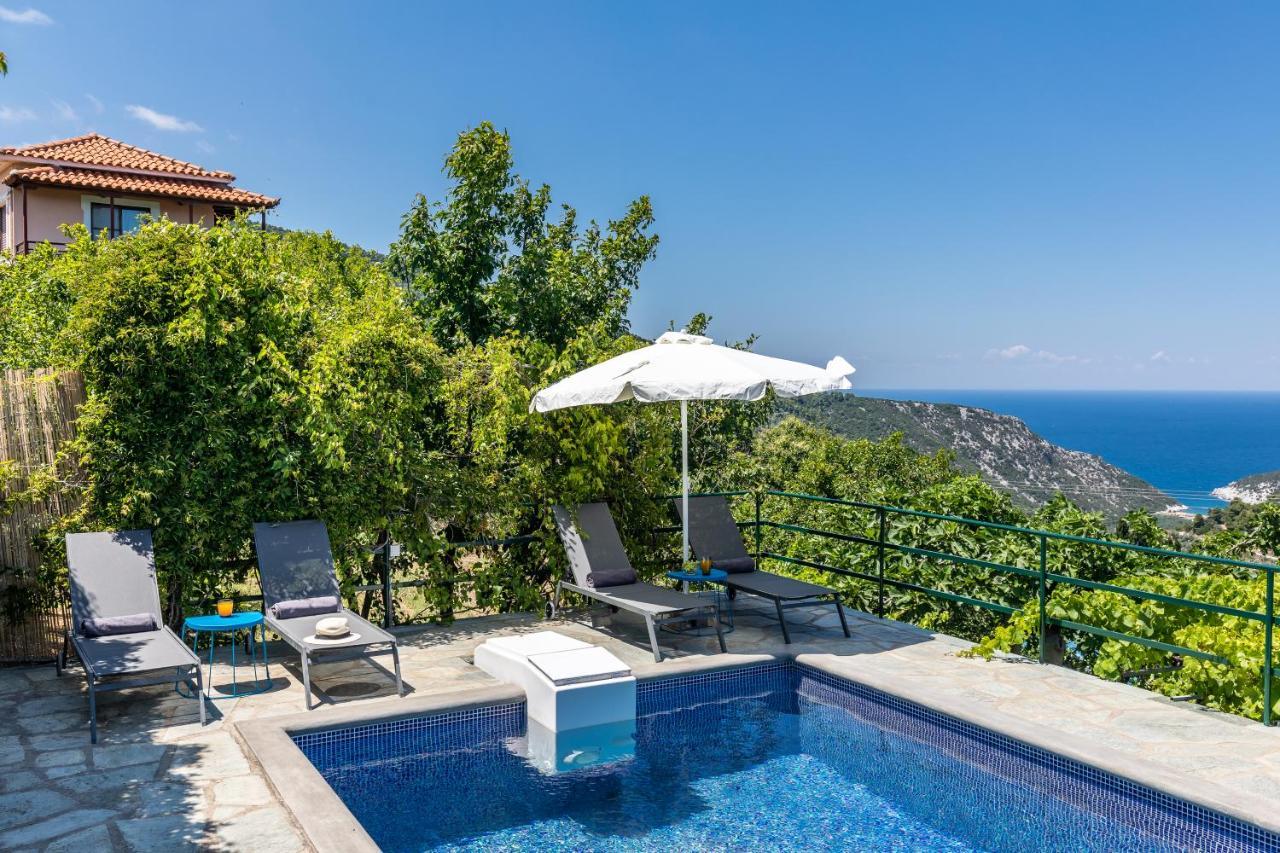 Villa Margini, Aegean Views , Pool Villa, Skopelos Экстерьер фото